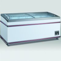 Display / Iskrem bokse Display fryser – 701 liter