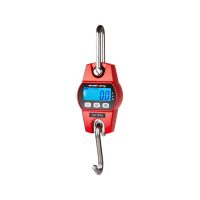 Store Scales Crane scale – 300 kg / 100 g – red