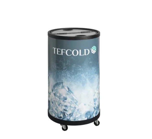 Tefcold branded ice display cooler on wheels with a frosty blue ice design on the sides and a lid on top to hold beverages or samples.